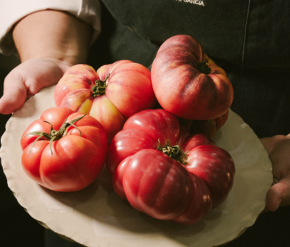 TBMARB MENUS alergenos