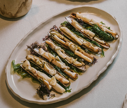 TBMARB MENUS general